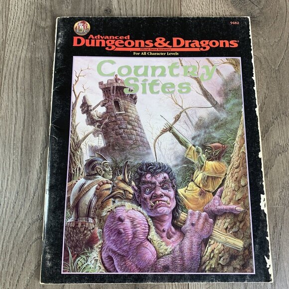 TSR Other - TSR AD&D Advanced Dungeons & Dragons Country Sites Official Game Accessory #9482